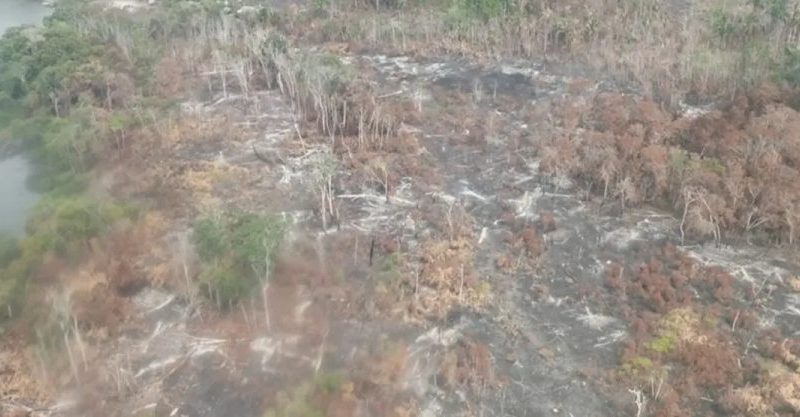 Altamira decreta emergência por crise de queimadas