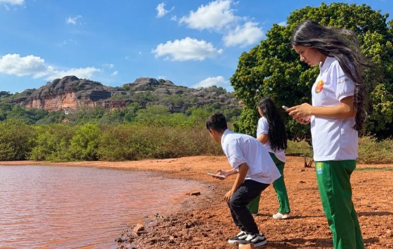 Alunos usam IA para monitorar insetos que ajudam a preservar biodiversidade no PI
