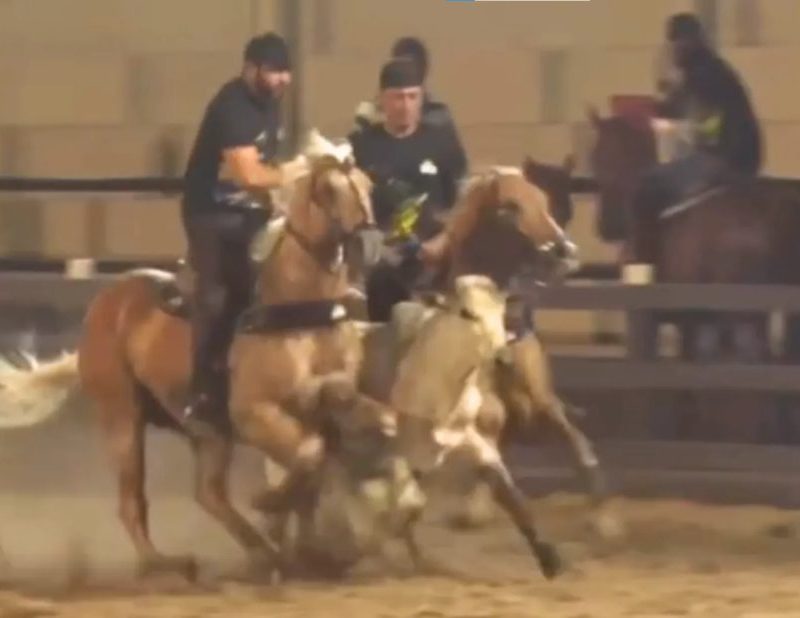 Após queda de cavalo, Henrique, da dupla com Juliano, volta a competir e derruba boi em vaquejada; VÍDEO