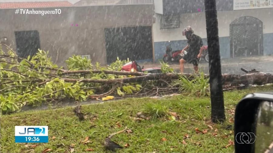 Chuva com ventos fortes derruba árvores e provoca estragos em Araguaína; Vídeo