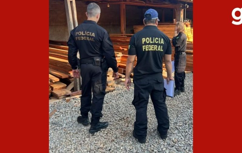Comércio ilegal de madeira em MT, GO e MG é alvo de operação da Polícia Federal