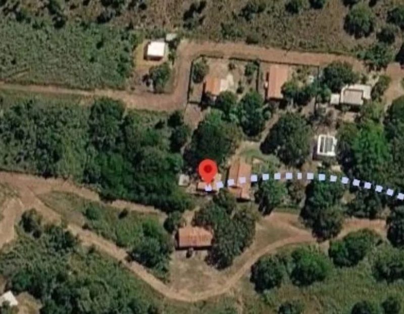 Ataques de onças geram pânico em moradores de chácaras em Palmas