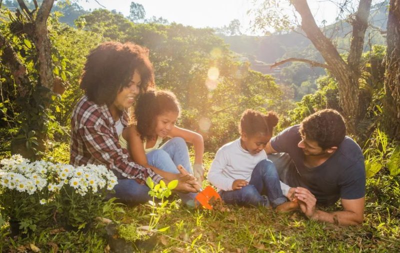 Descubra como se proteger dos mosquitos nos passeios de primavera