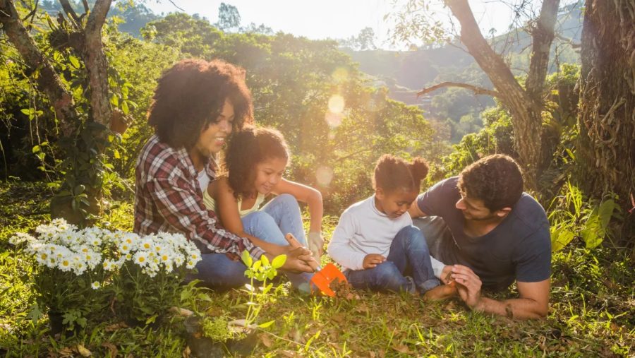 Descubra como se proteger dos mosquitos nos passeios de primavera