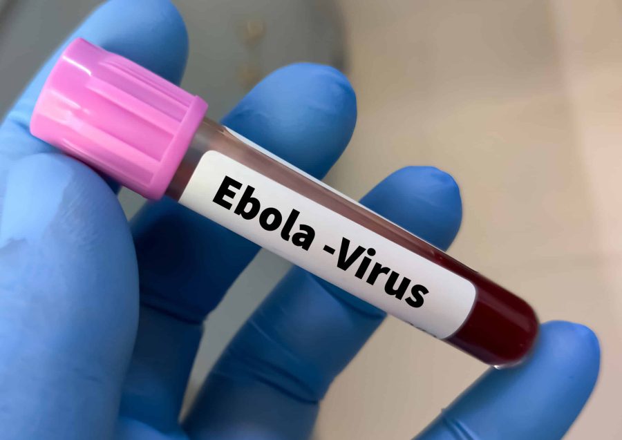 Ebola na Nigéria: autoridades rastreiam 44 contatos de infectada