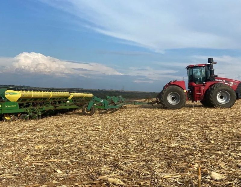 El Niño pode provocar perdas de R$ 33 bilhões na safra de soja do Brasil; entenda os riscos