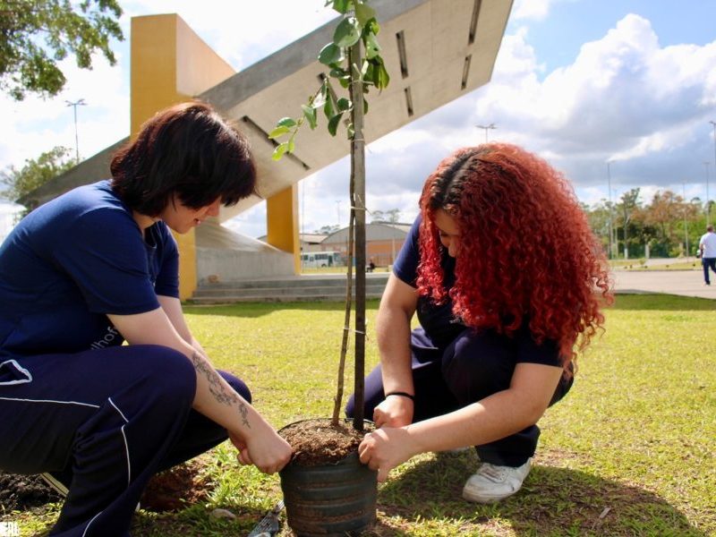 Em Criciúma, parques da Prefeitura e da Santa Luzia recebem o plantio de 400 mudas de árvores