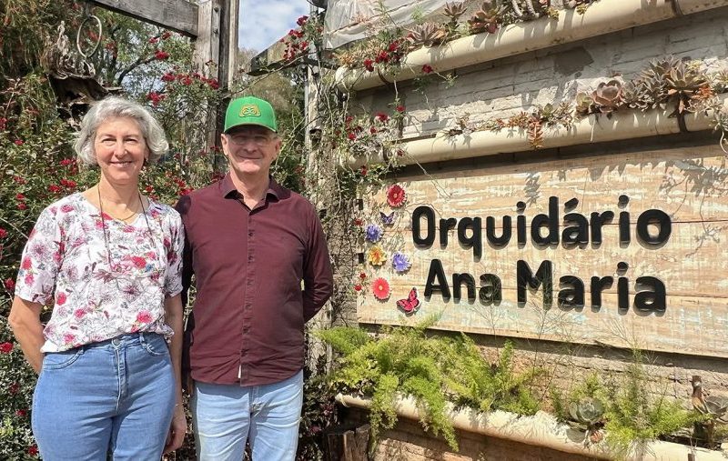 Orquídeas: a trajetória de sucesso do Orquidário Ana Maria
