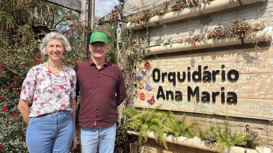 Orquídeas: a trajetória de sucesso do Orquidário Ana Maria