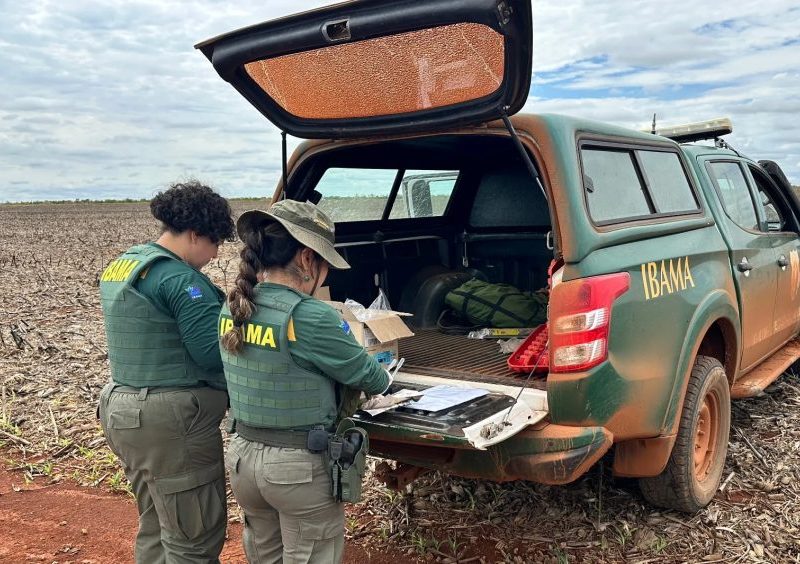 Fazendeiros multados em quase R$ 900 mil plantaram milho transgênico em mais de 640 hectares no entorno do Parque Nacional das Emas, diz Ibama