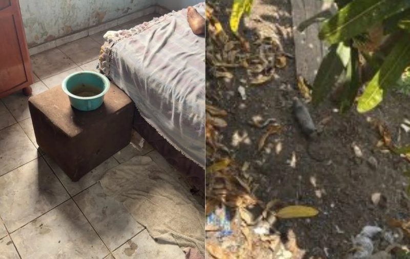 Filho é preso suspeito de abandonar mãe de 96 anos em casa com ratos mortos no Maranhão