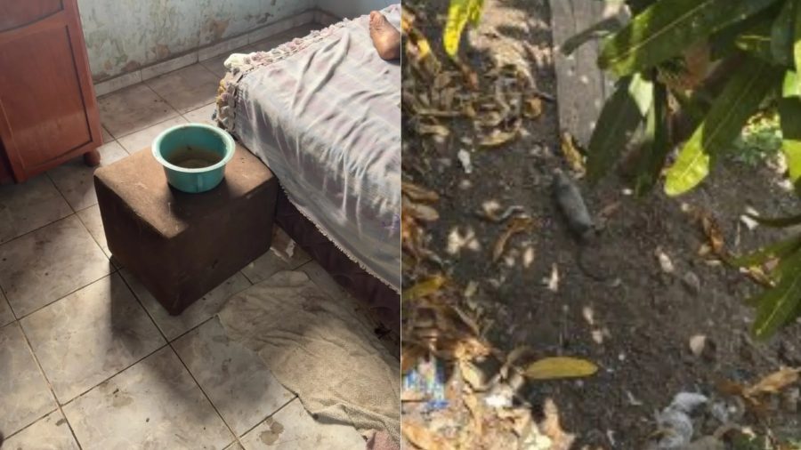 Filho é preso suspeito de abandonar mãe de 96 anos em casa com ratos mortos no Maranhão