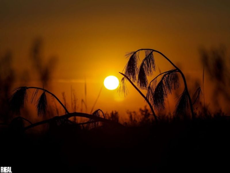 Fim de semana e feriado terão calor e temporais isolados em Santa Catarina