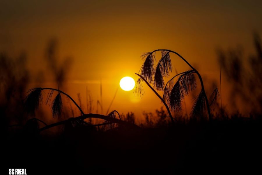 Fim de semana e feriado terão calor e temporais isolados em Santa Catarina