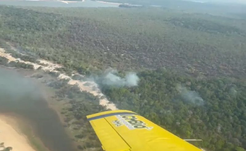 Queimadas no Pará: fumaça trava aviões e força reforço aéreo