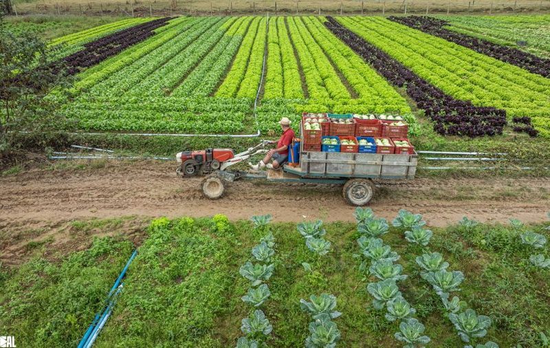 Governo de SC amplia acesso de produtores rurais catarinenses a créditos de ICMS