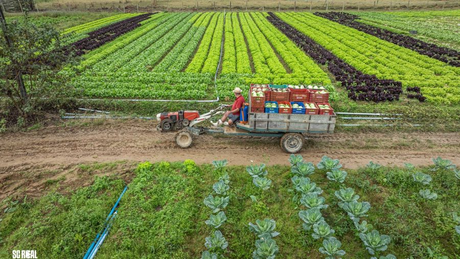 Governo de SC amplia acesso de produtores rurais catarinenses a créditos de ICMS