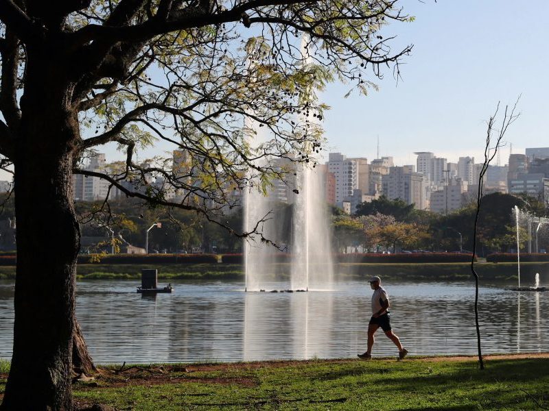 Homem morre após mal súbito durante exercício no Ibirapuera