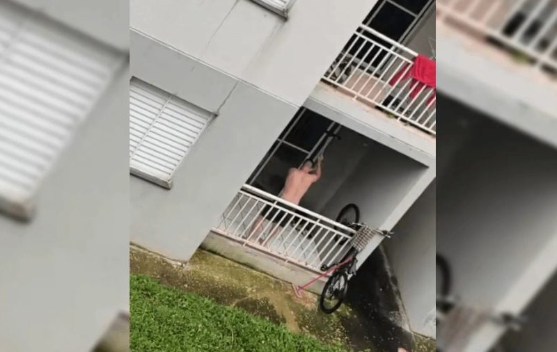 Homem é preso suspeito de agredir cadela com cabo de vassoura em Botucatu; VÍDEO