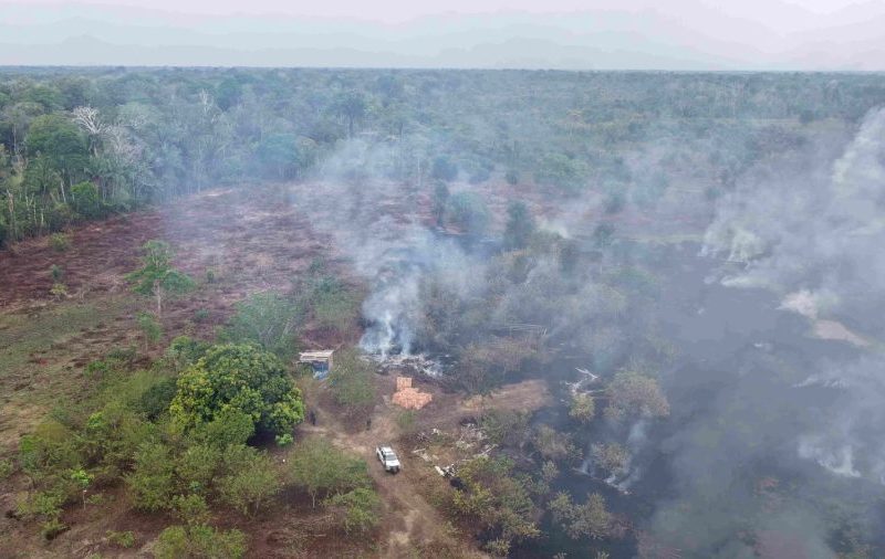 Humaitá lidera ranking de multas por queimadas ilegais no Amazonas