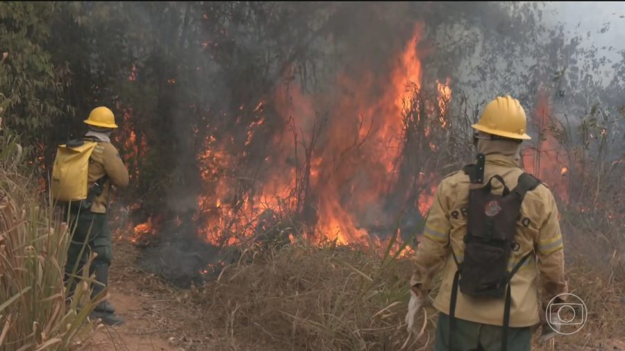 ICMBio leva alimentos de helicóptero a famílias atingidas por incêndio há quase 20 dias em reserva de Altamira