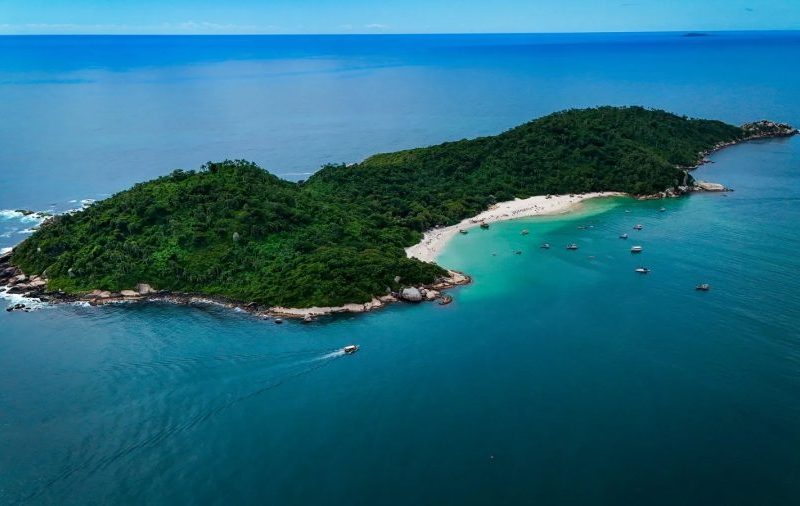 Ilha do Campeche realiza projeto inédito de manejo reprodutivo de quatis