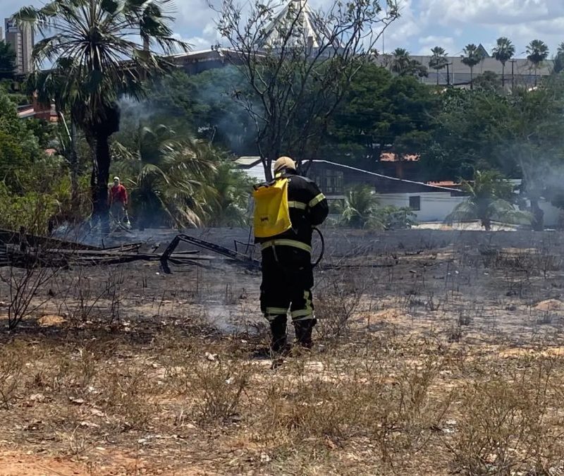 Incêndio atinge área de vegetação na UFRN, em Natal; Bombeiros investigam recorrência
