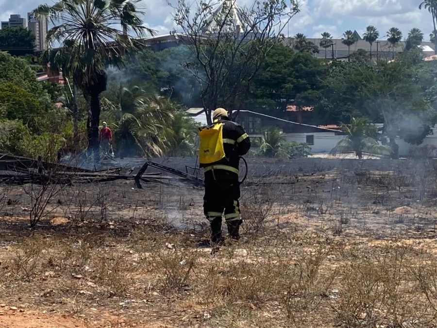 Incêndio atinge área de vegetação na UFRN, em Natal; Bombeiros investigam recorrência
