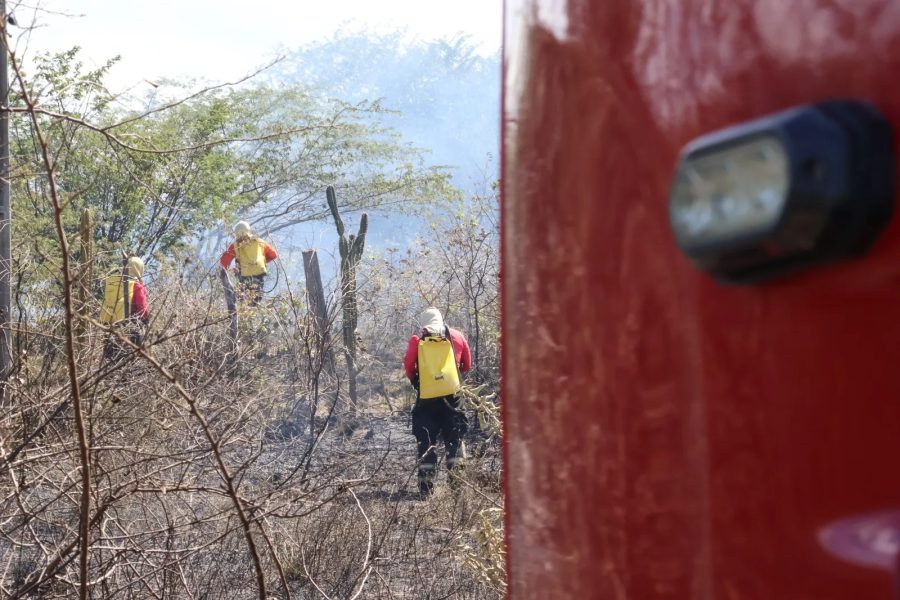 Incêndios em vegetação no RN sobem 21,4% em 2026
