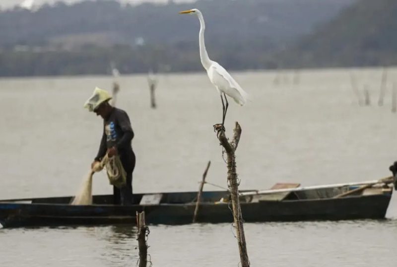 Justiça do Trabalho proíbe sindicato de pescadores do Pará de praticar assédio eleitoral contra associados