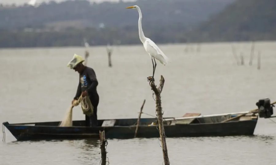 Justiça do Trabalho proíbe sindicato de pescadores do Pará de praticar assédio eleitoral contra associados