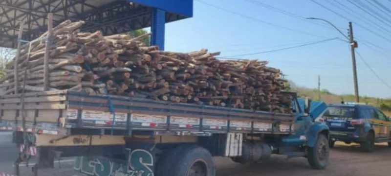Mais de 11 m³ de madeira nativa são apreendidos sem licença na BR-343, no Piauí