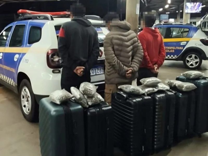 Mais de 90 kg de maconha são encontrados em malas com destino a Curitiba na rodoviária de Campo Grande