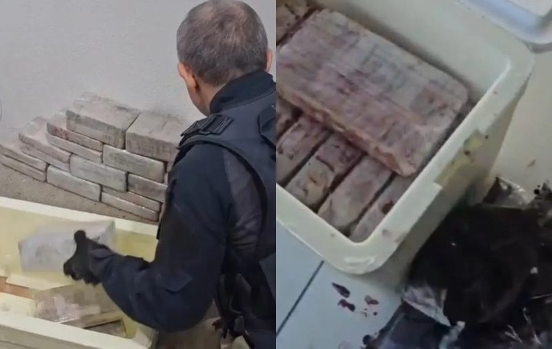 PRF apreende 46 kg de cocaína escondidos em caixas de açaí no CE