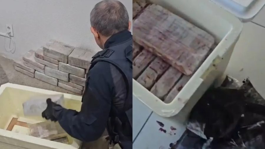 Polícia encontra 46 kg de cocaína escondidos em caixas de açaí no Ceará