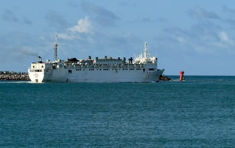 Porto de Natal embarca 2,7 mil bois para Arábia Saudita em operação de R$ 20 milhões