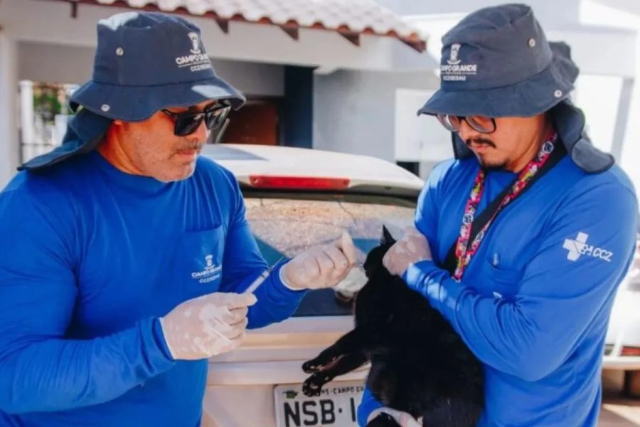 Sábado tem vacinação antirrábica gratuita para cães e gatos em Campo Grande; veja local e horário