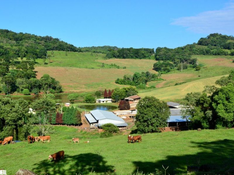 Santa Catarina integra ações de prevenção e resposta a eventos climáticos no meio rural e pesqueiro