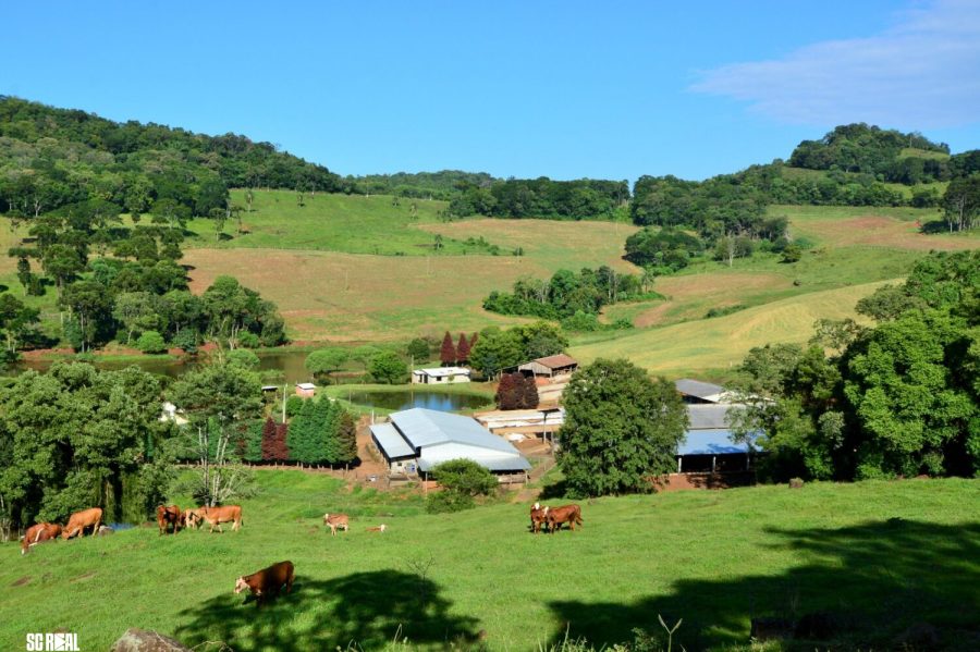 Santa Catarina integra ações de prevenção e resposta a eventos climáticos no meio rural e pesqueiro