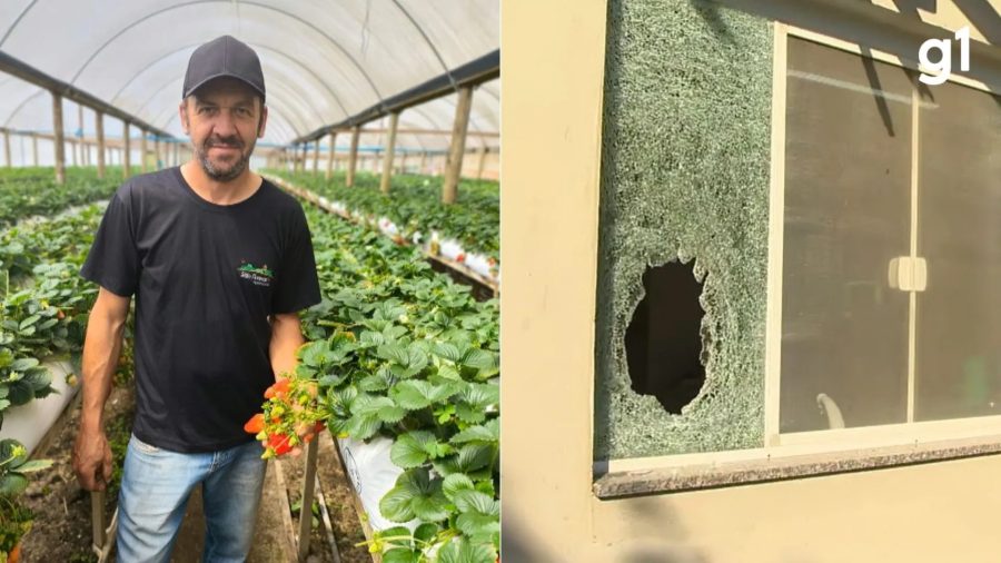 Sete PMs viram réus por morte de agricultor a tiros dentro de casa durante operação no RS