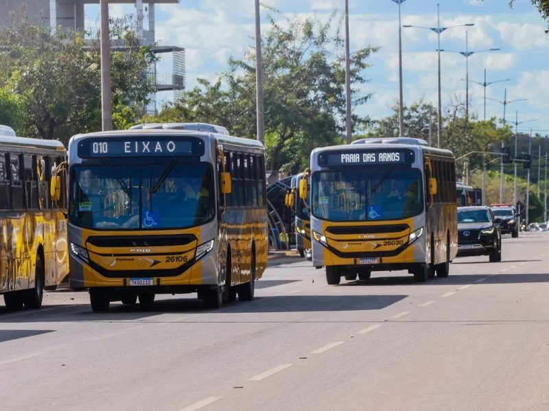 Transporte gratuito no 2º turno das eleições no TO atenderá áreas urbanas, zona rural e linhas intermunicipais