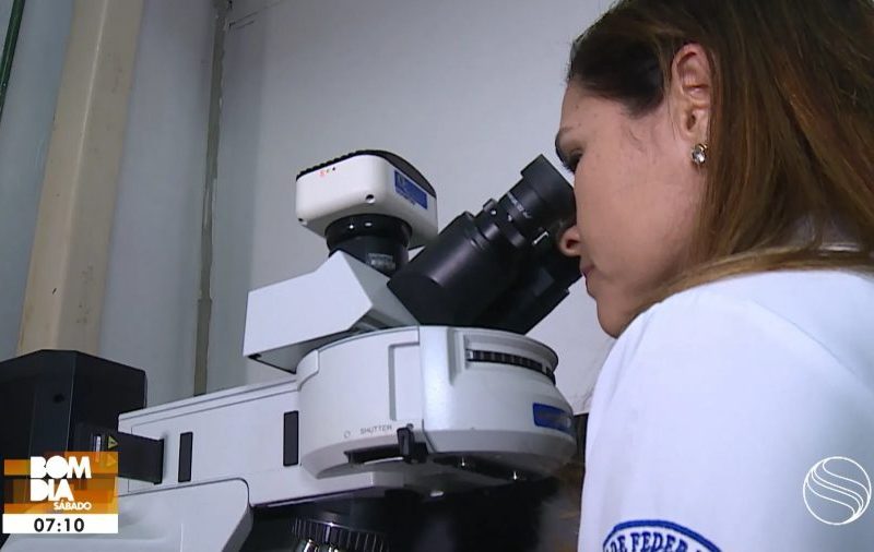 VÍDEO: Bom Dia Sábado, 31 de outubro de 2026