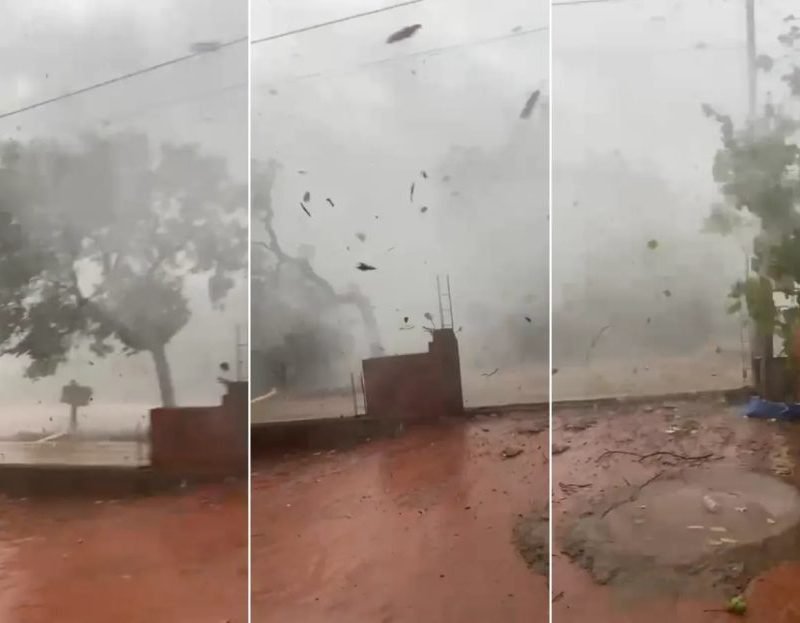 Vídeo mostra ventania derrubando árvores; moradora se assusta: ‘Meu Deus do céu’