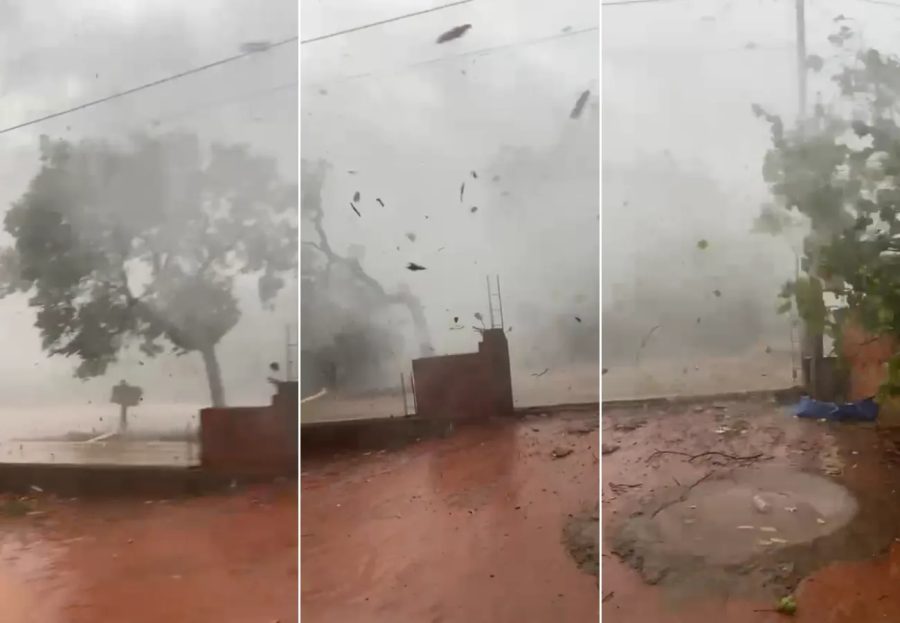 Vídeo mostra ventania derrubando árvores; moradora se assusta: 'Meu Deus do céu'