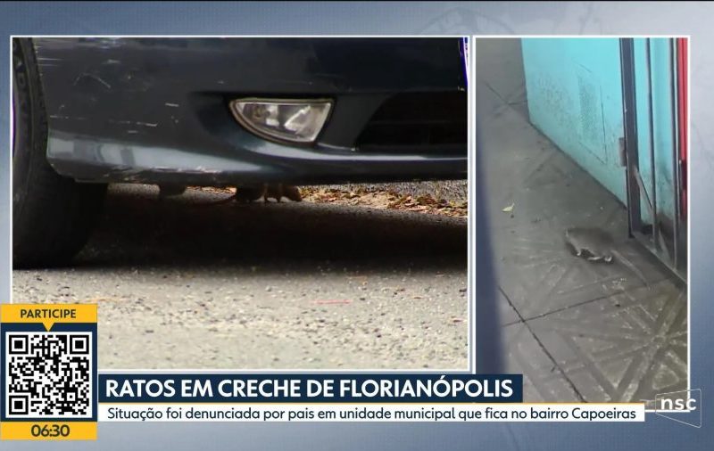 VÍDEOS: Bom Dia Santa Catarina de quarta-feira, 28 de outubro de 2026