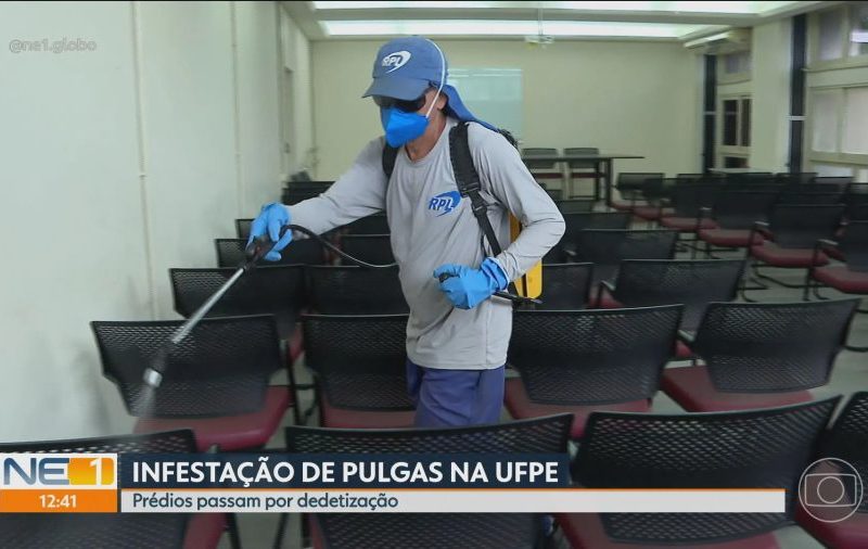 Vídeos do Telejornal: as Principais Notícias de Pernambuco