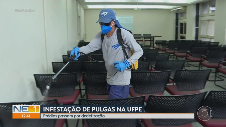 Vídeos do Telejornal: as Principais Notícias de Pernambuco